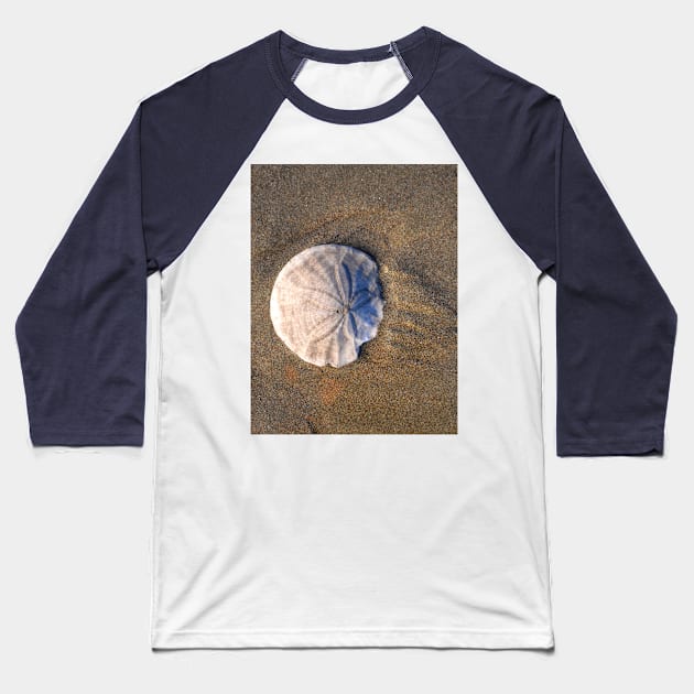 Sand Dollar in the Sand Baseball T-Shirt by DeniseBruchmanPhotography